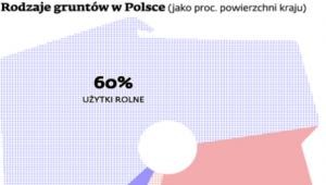 Rodzaje gruntów w Polsce (jako proc. powierzchni kraju)