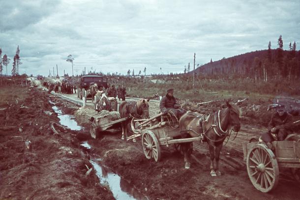 Niemieckie dostawy pojazdów konnych na front w Laponii, lato 1943 r. -