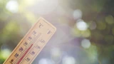 Pogodna aura, ale i przelotne opady deszczu. Prognoza pogody na piątek