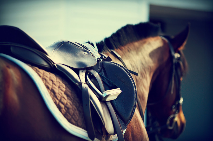 14 sierpnia na aukcji koni arabskich "Pride of Poland" zdobywczyni wielu tytułów w kraju i za granicą, 16-letnia siwa klacz Emira, pochodząca ze stadniny w Michałowie, została sprzedana za 225 tys. euro nabywcy z Francji.