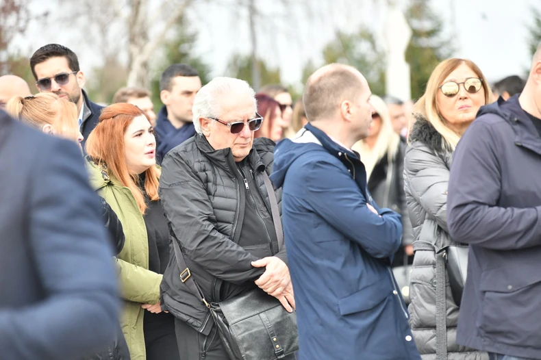 Željko Samardžić, pevač