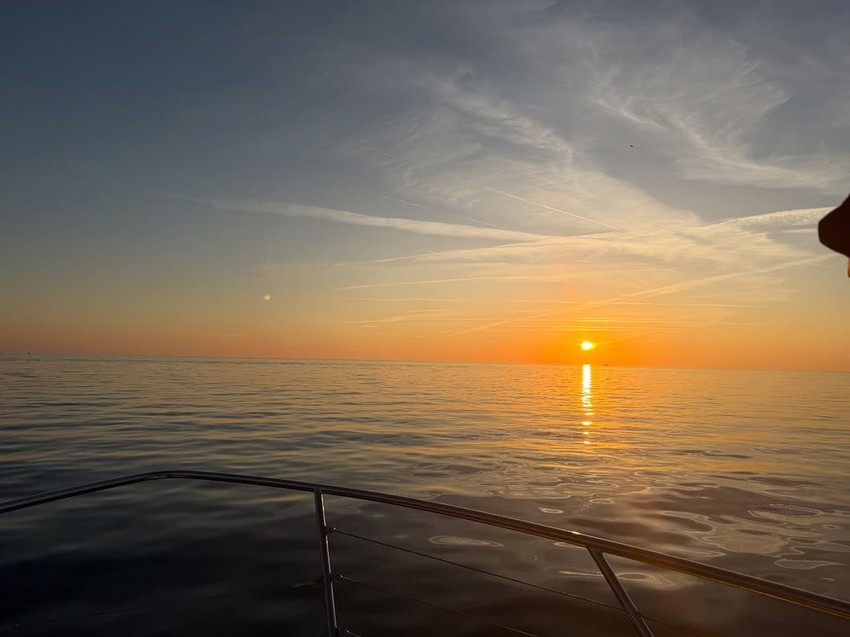 Viktor Živojinović