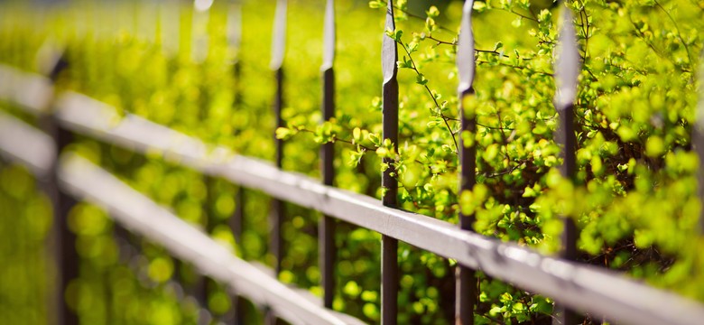 Od 2026 roku zakaz ostro zakończonych elementów na ogrodzeniach (także już istniejących). Czy Polacy będą musieli masowo wymieniać płoty?