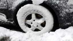 Jak opodatkować VAT usługę tłumaczenia wykonaną dla zagranicznej fundacji. Kiedy nabywca samochodu w komisie płaci PCC? [Poradnia podatkowa]