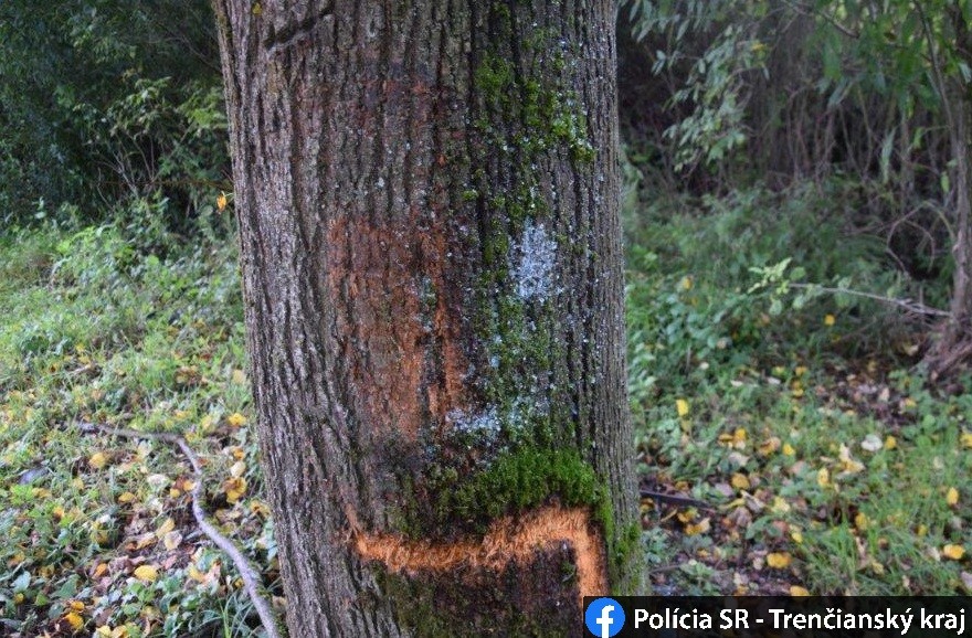 Pri nehode sa zranili traja ľudia. Mladé dievča utrpelo život ohrozujúce zranenia. 