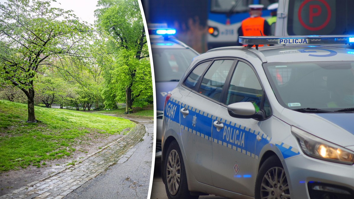 Egzekucja w lesie pod Bydgoszczą? Śledczy potwierdzają: strzał w głowę
