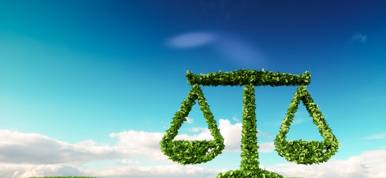 Ozdoba: Będą wyższe kary za niszczenie środowiska