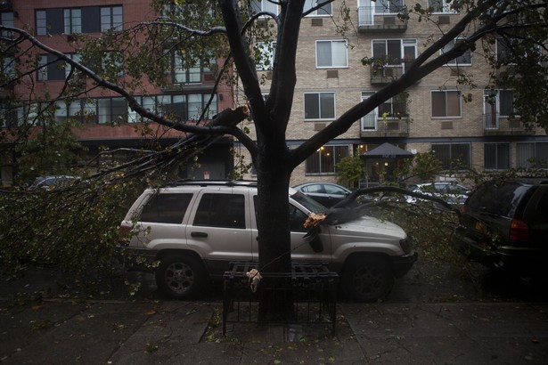 Zwalone drzewa w Nowym Jorku w wyniku działania huraganu Sandy