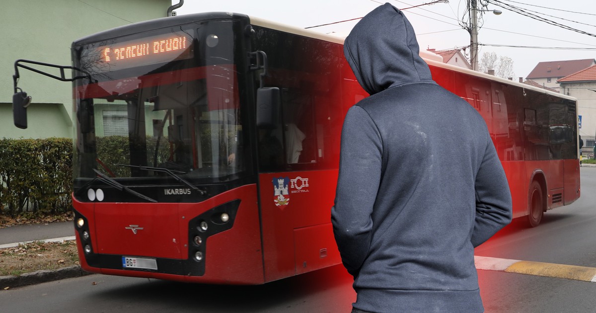 Tukli mushukdagi kamming fotosurati