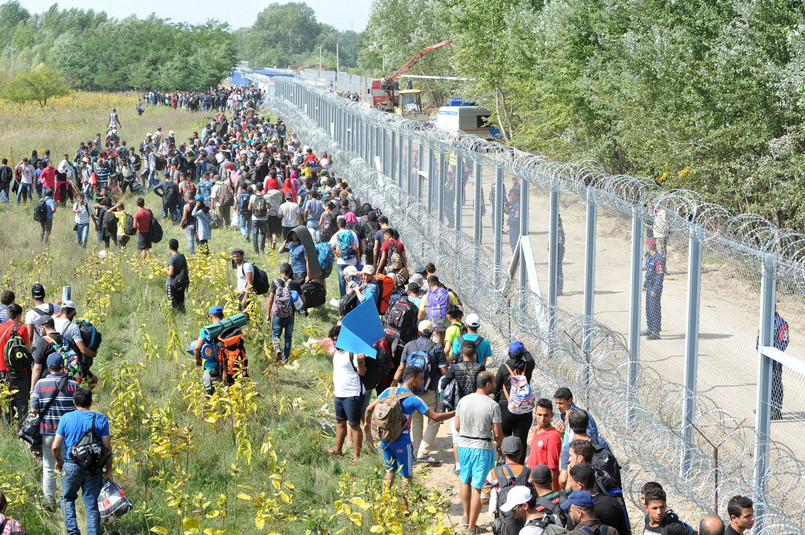 Zamkinięta granica węgiersko-serbska i tłumy imigrantów