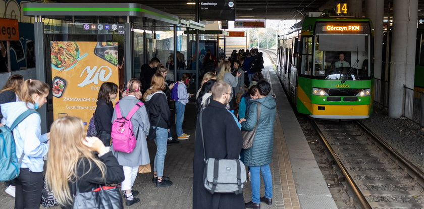 Wmawiają nam, że mamy tanią komunikację