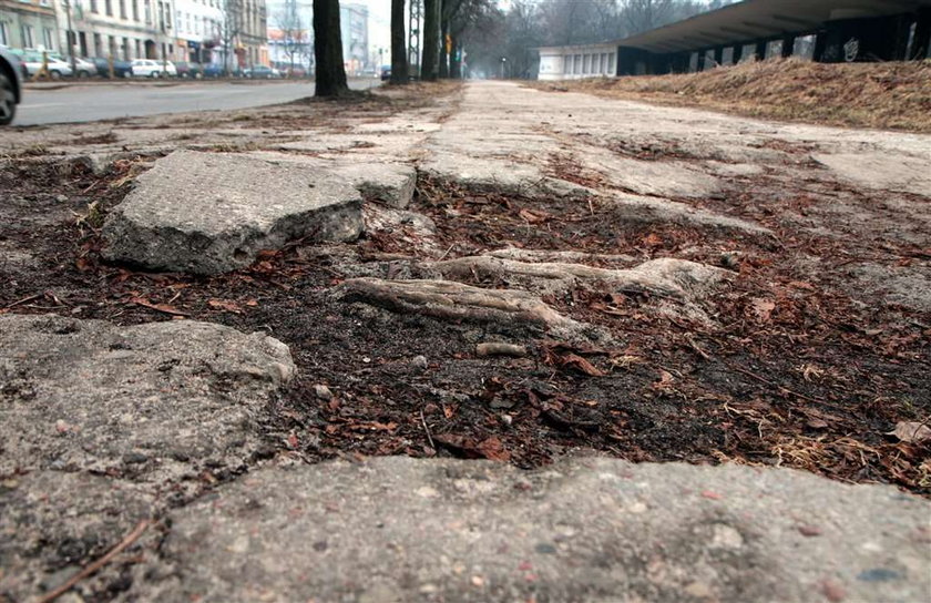 Wreszcie naprawią chodniki