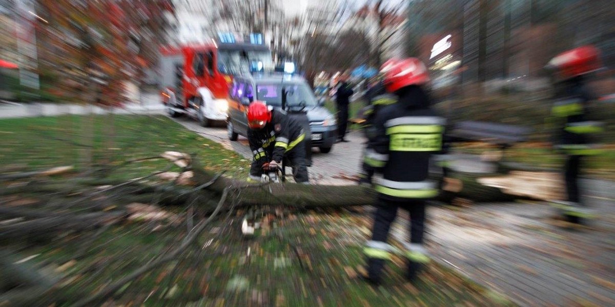 Drzewo przygniotło matkę z dziećmi