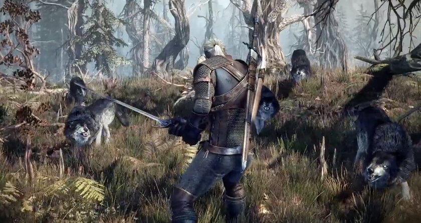 The Witcher Wiedźmin 3 Dziki Gon