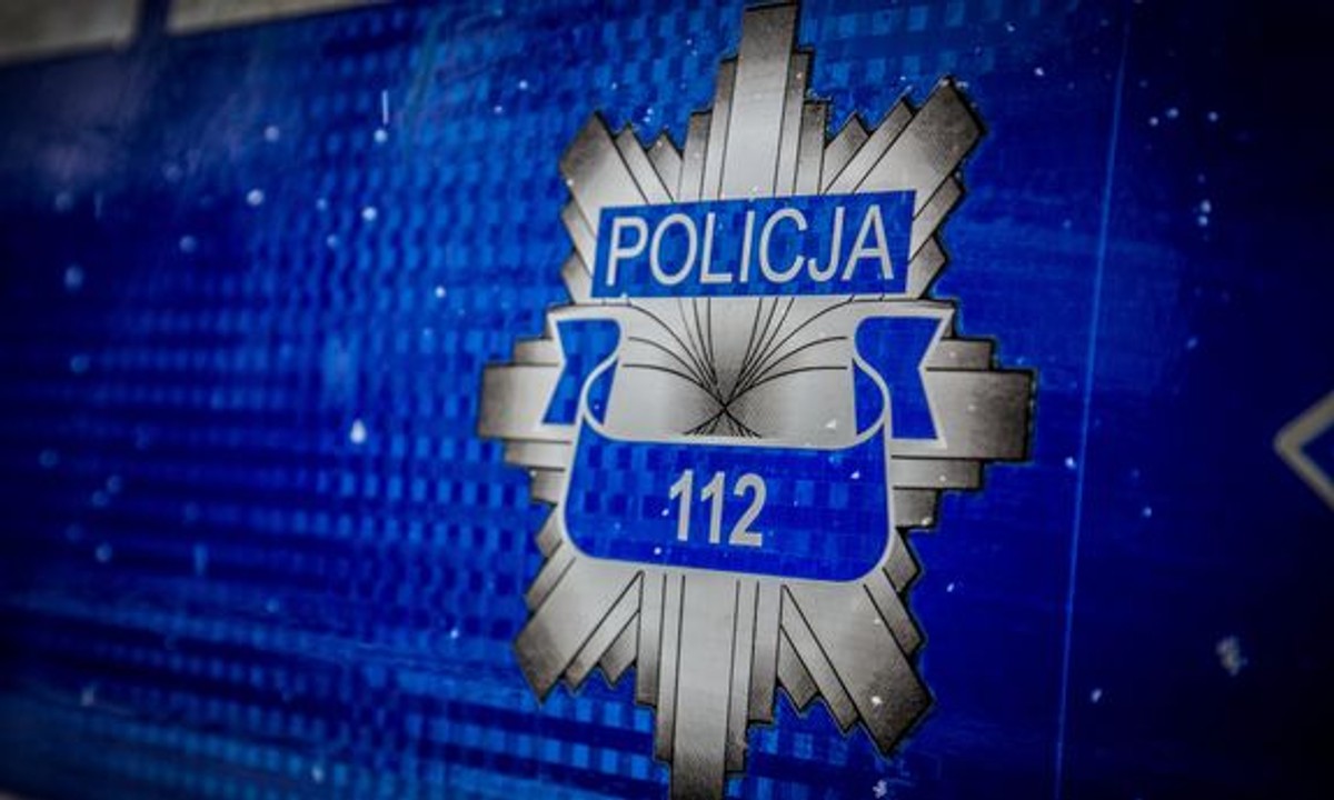 Pomysłodawca, "odbierak" i kierowca. Trio od wyłudzeń zatrzymane