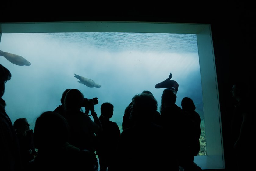 Afrykarium we wrocławskim ZOO