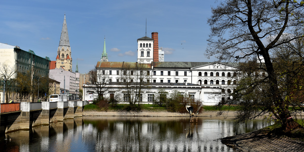 Park reymonta wypięknieje