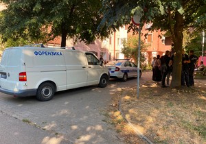Bežanijska kosa hronika