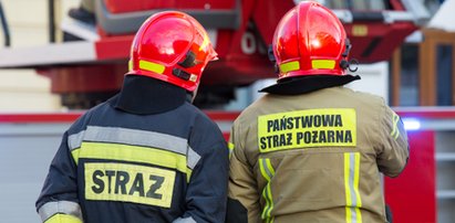 Wskoczył do ogniska i zaczął się tarzać. Strażacy nigdy czegoś takiego nie widzieli