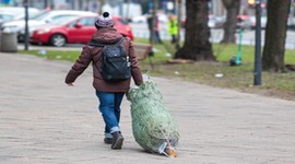 Do kiedy można trzymać choinkę w domu i śpiewać kolędy? W Polsce mamy dokładną datę