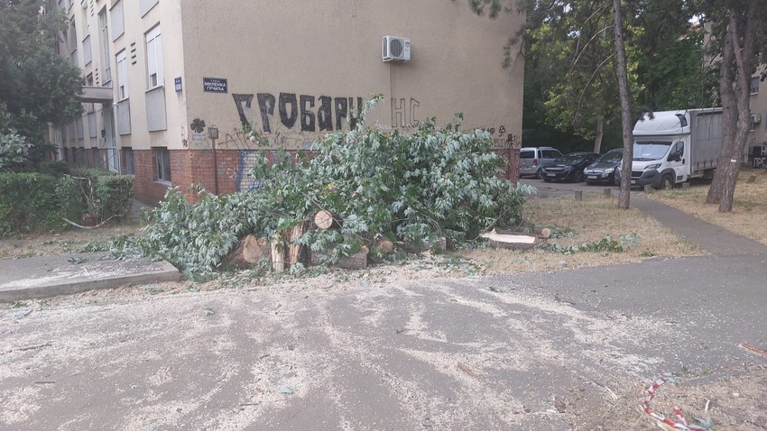 Nevreme u Novom Sadu 