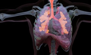 System do rehabilitacji pulmonologicznej Boreas. Stworzyli go polscy naukowcy, startuje w konkursie Fundacji Jamesa Dysona