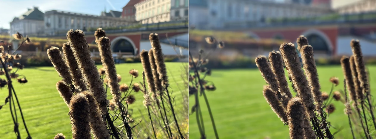 Scena 3 - programowy efekt bokeh. Po lewej iPhone 14 Pro Max, po prawej Galaxy S22 Ultra (kliknij, aby powiększyć) 