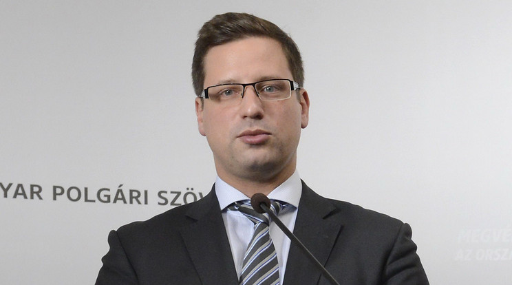 Gulyás Gergely, fidesz frakcióvezető /Fotó: MTI/ Soós Lajos