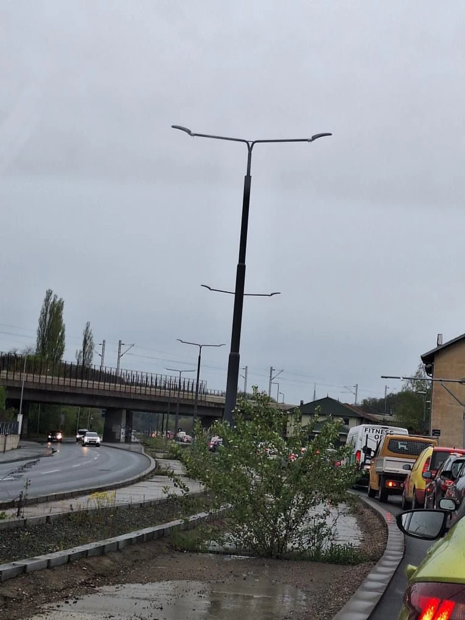 Gužva na Košutnjaku