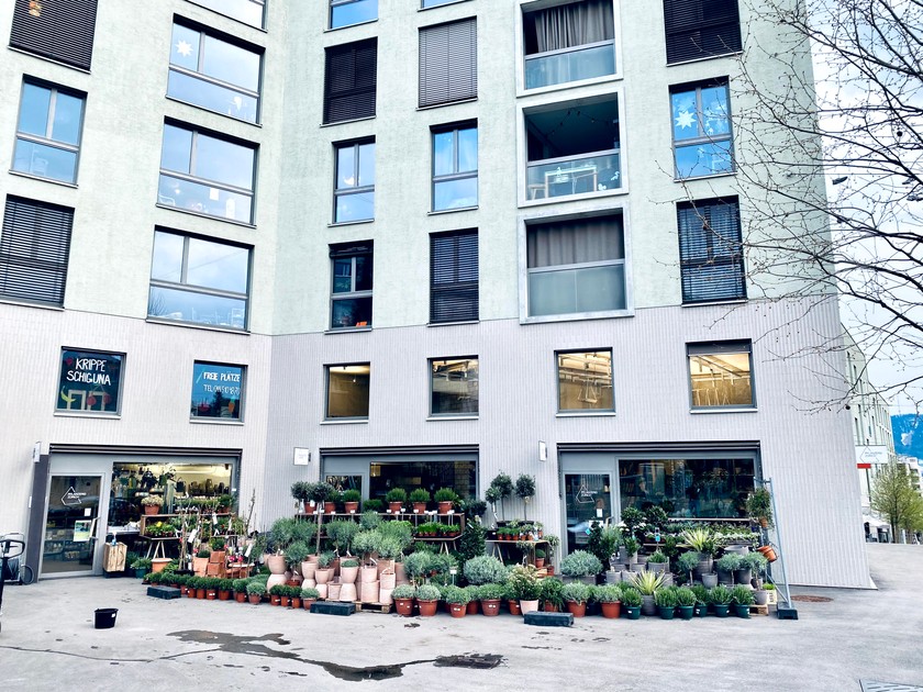 Il existe à Zurich deux filiales de la jardinerie: Kornhaus (illustration) et Josef.