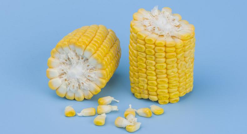 Dr. Pimple Popper Squeezes a 'Corn Kernel' Cyst