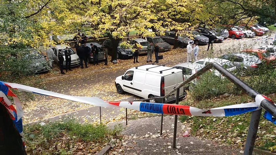 Uviđaj - ubistvo Vedrana Repčića