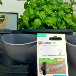 Ratgeber Indoor-Gärten: Kräuter, Gemüse & Anzucht für innen | TechStage