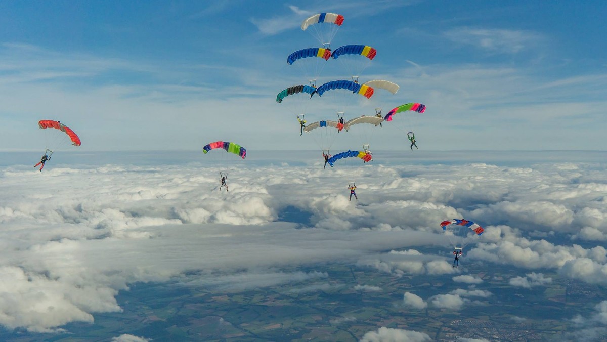 Canopy Formation