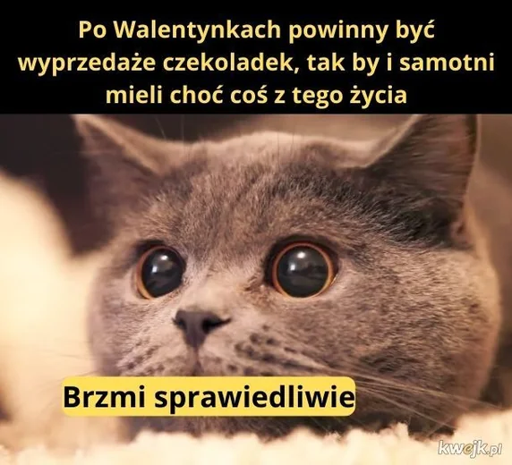 https://ocdn.eu/pulscms-transforms/1/p8Kk9kpTURBXy81MWM2ZjMzZWMyNDQ2NWZiYzc0MGNkMzdhNDRiY2I3Ni5qcGeSlQLNAjwAwsOVAgDNAtDCw94AA6EwBaExAaEzww