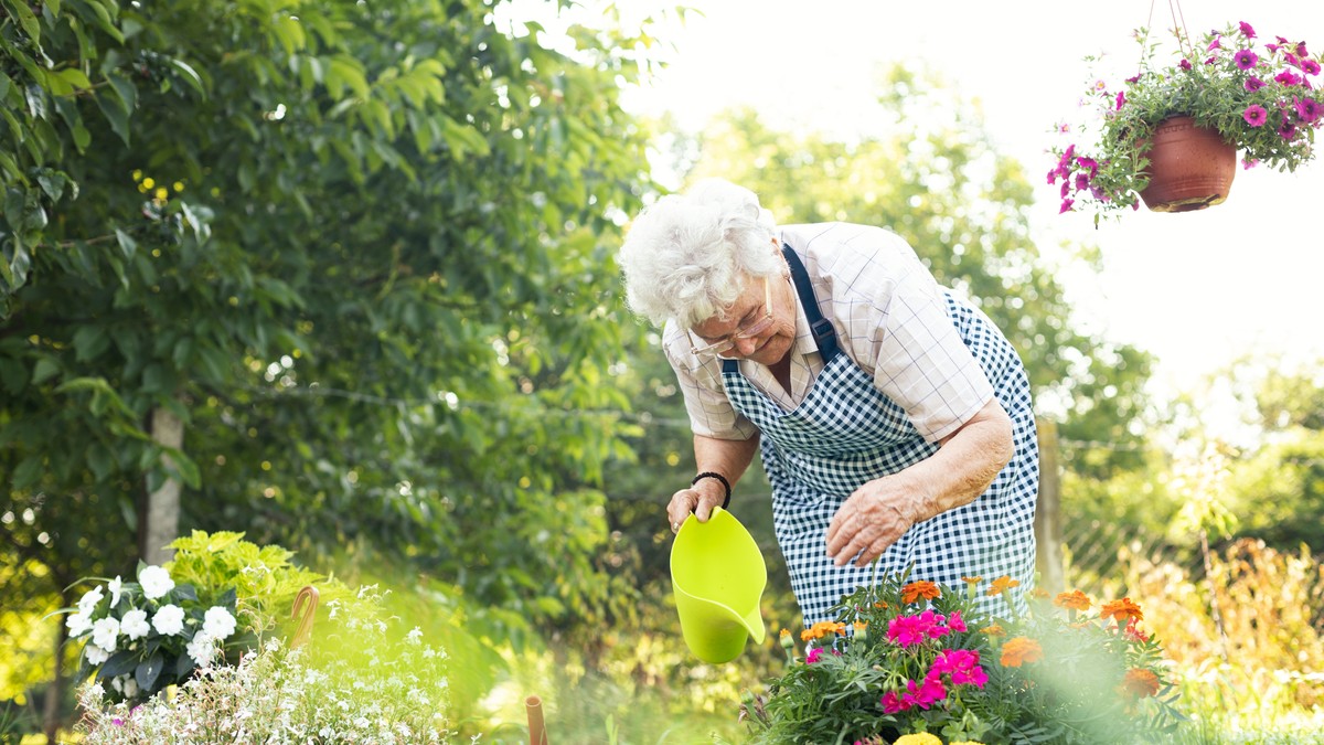 Cveće koje ne mrzne i vraća se svake godine