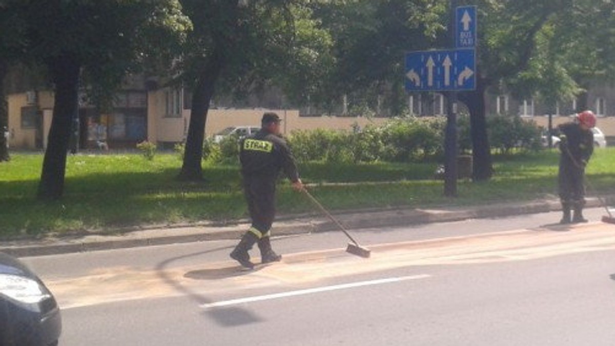 Z nietypowym problemem mieli do czynienia strażacy na al. Juliusza Słowackiego w Krakowie. Na jednej z jezdni służby walczyli z plamą oleju, która ciągnęła się od ul. Łobzowskiej do pl. Inwalidów. Na alejach Trzech Wieszczów tworzyły się korki.