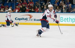 NHL. Washington Capitals krytykowani za zakaz wnoszenia flag Ukrainy
