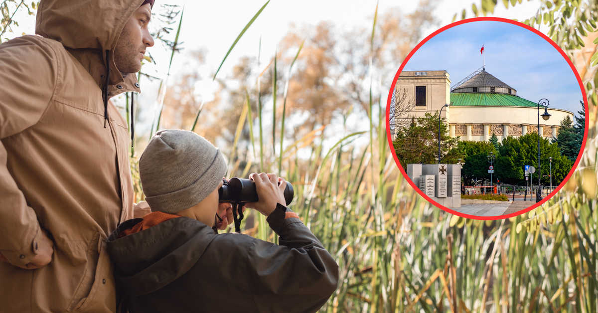 Zmiany w prawie łowieckim w 2026 roku. Dzieci będą mogły uczestniczyć w polowaniach. Czy zostanie zniesiony obowiązujący zakaz?
