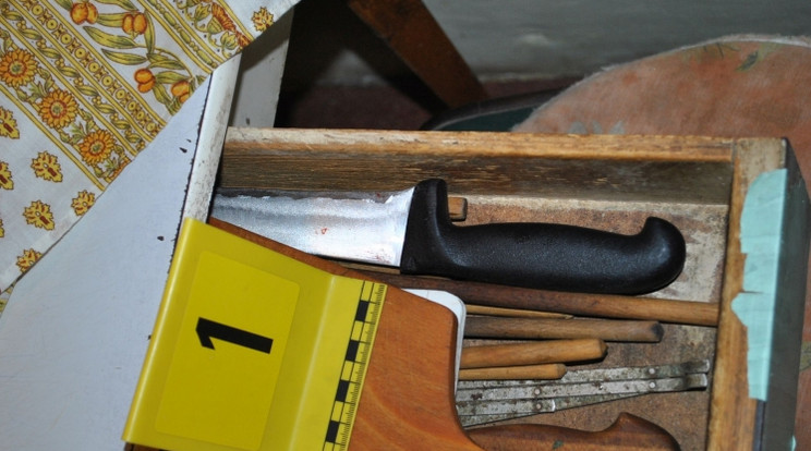 A rendőrség lefoglalta azt a kést, amivel a férfi hasba szúrta gyermekét /Fotó: police.hu