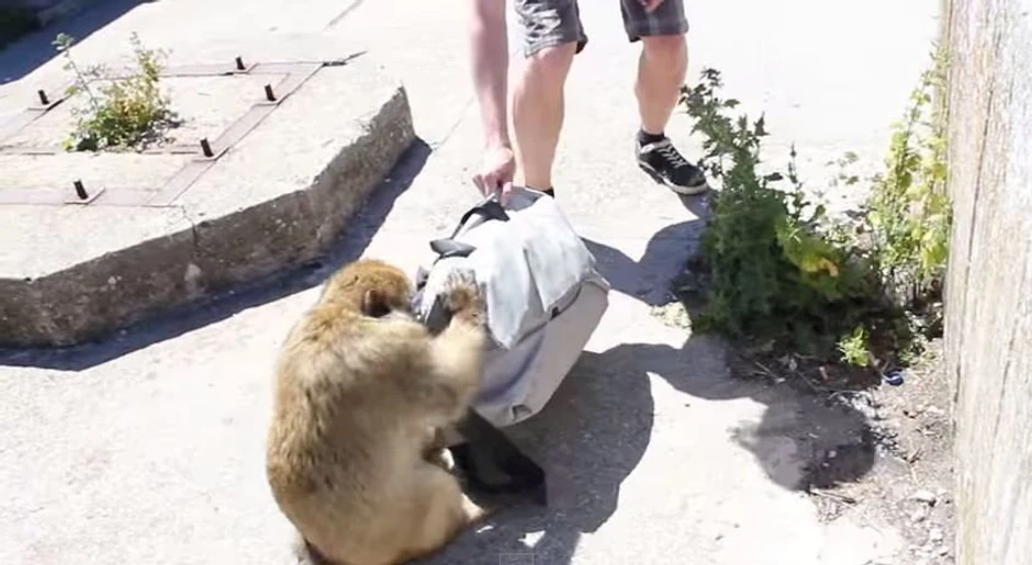 A nije mu problem predstavljalo ni natezanje sa vlasnikom torbe