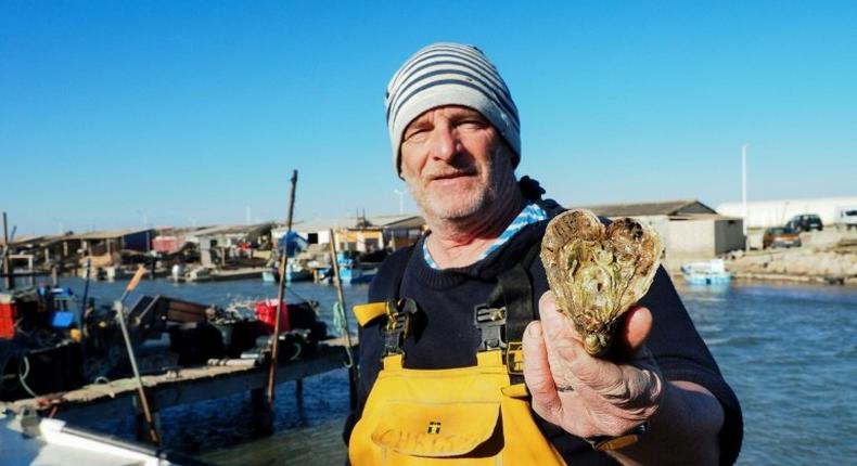 French oyster farmer Christophe Guinot shows a heart-shaped oyster that he produces and sells on Saint Valentine's Day.
