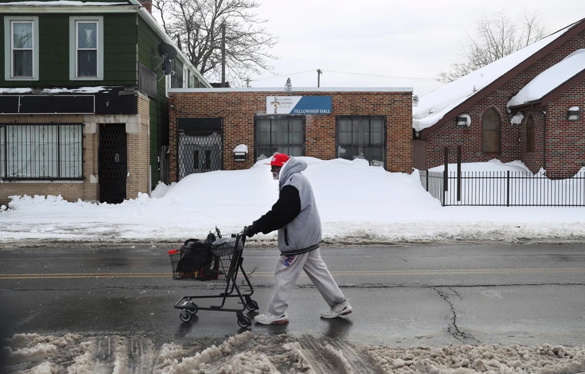 Bafalo nakon mećave