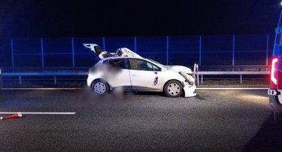 Wypadek na A4 pod Tarnowem. Auto zderzyło się z łosiem. Trzy osoby, w tym dziecko, są w szpitalu