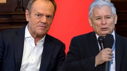 Donald Tusk nie zostawia wątpliwości. "Bez Brauna Kaczyński nie ma szans"