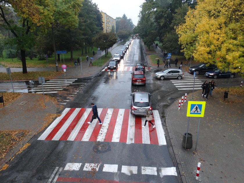 Odlot radnego ze Szczecina. Przechodząc przez pasy znieważasz symbole narodowe!