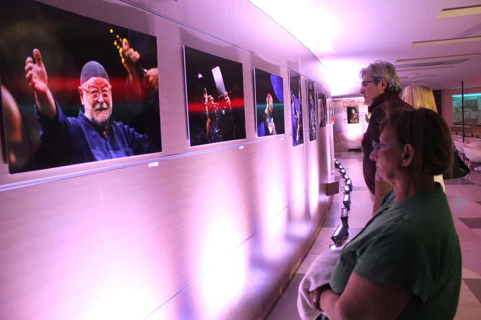 Izložba Anđelka Vasiljevića