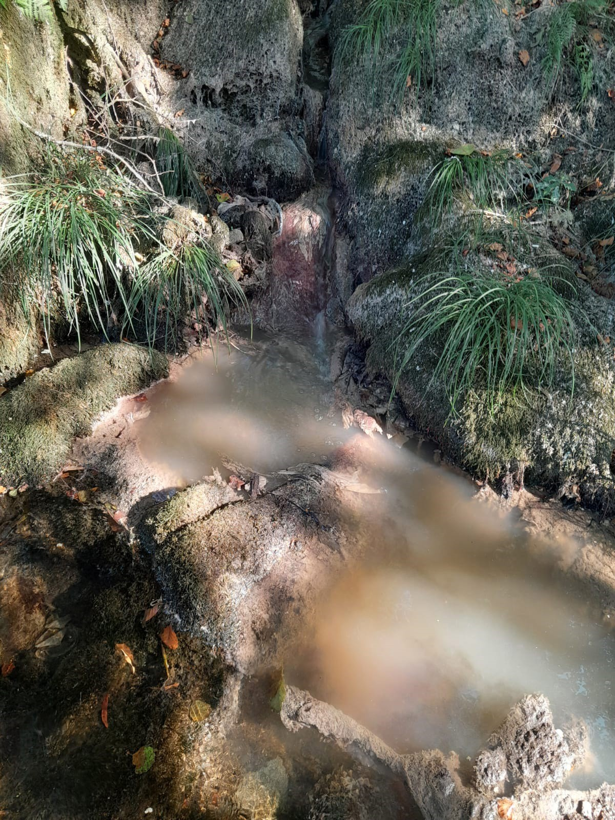 Vertido contamina el embalse de Eiras y amenaza el agua de Vigo