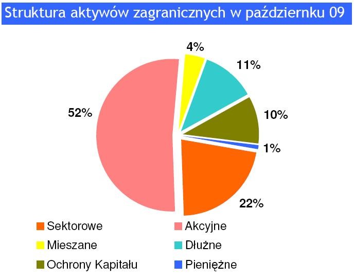 Struktura aktywów zagranicznych w październiku 2009