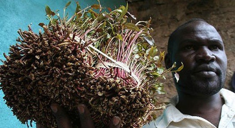 A Kenyan local khat farmer with his produce.